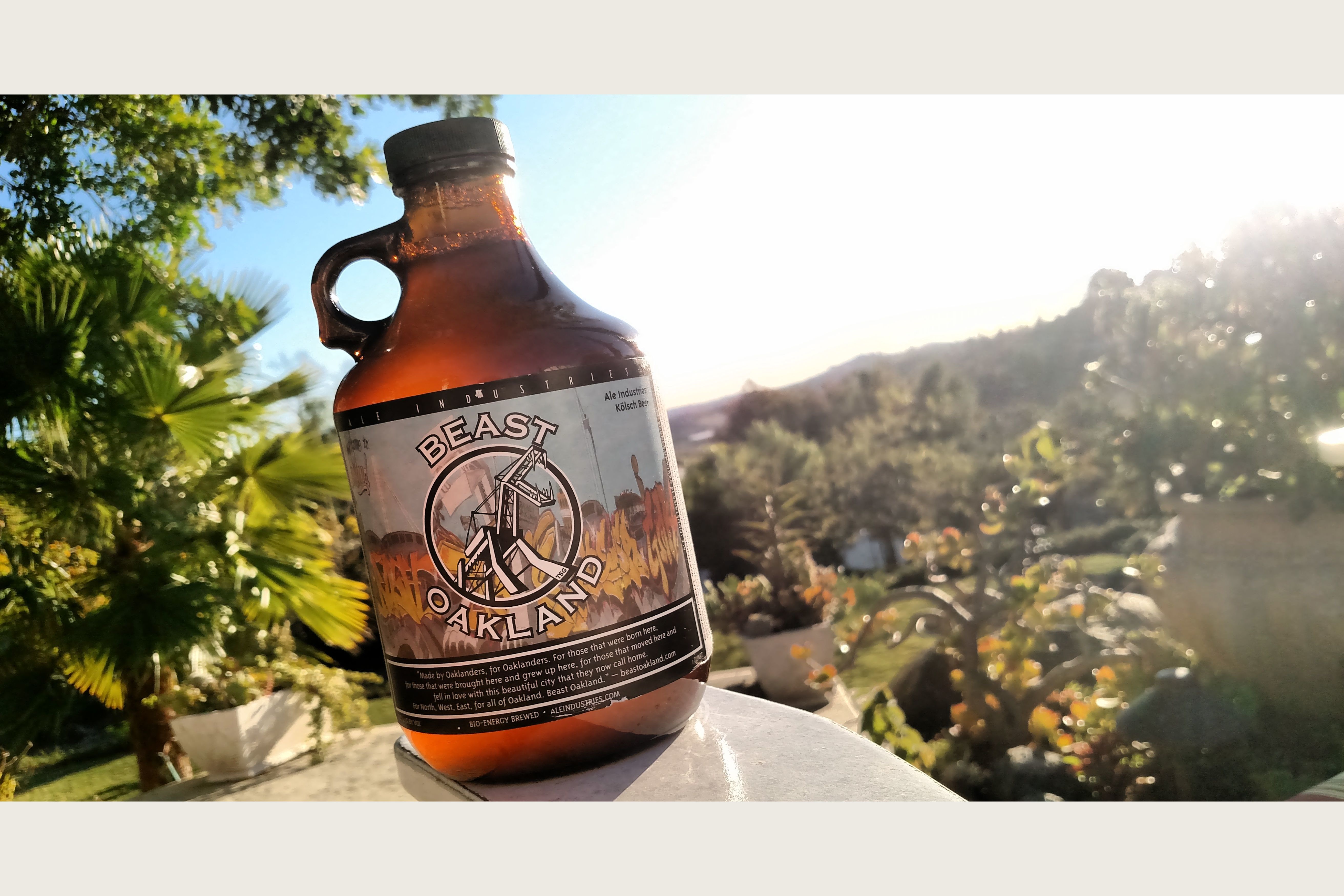 Which Bay Area Craft Beer Are You?