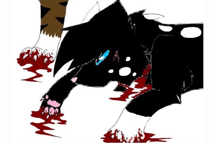 The Scourge of BloodClan (Warrior Cats) - Where the bad cats go - Wattpad