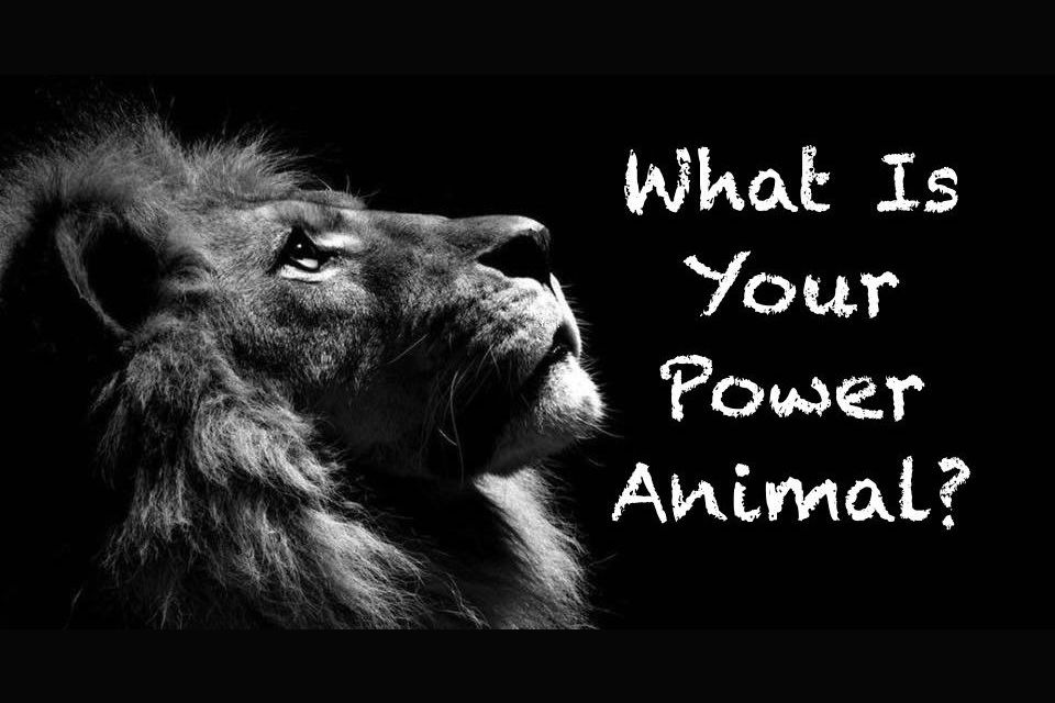 what-is-your-power-animal