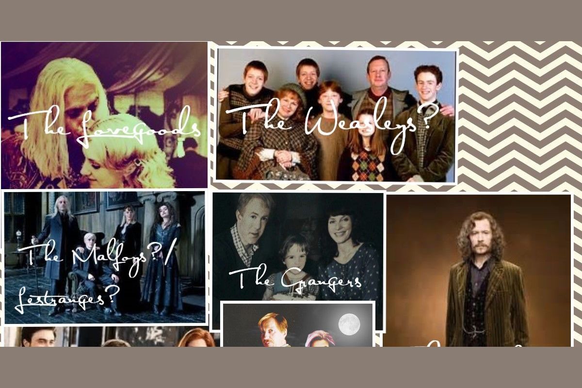 What Harry Potter Family Do You Belong In??