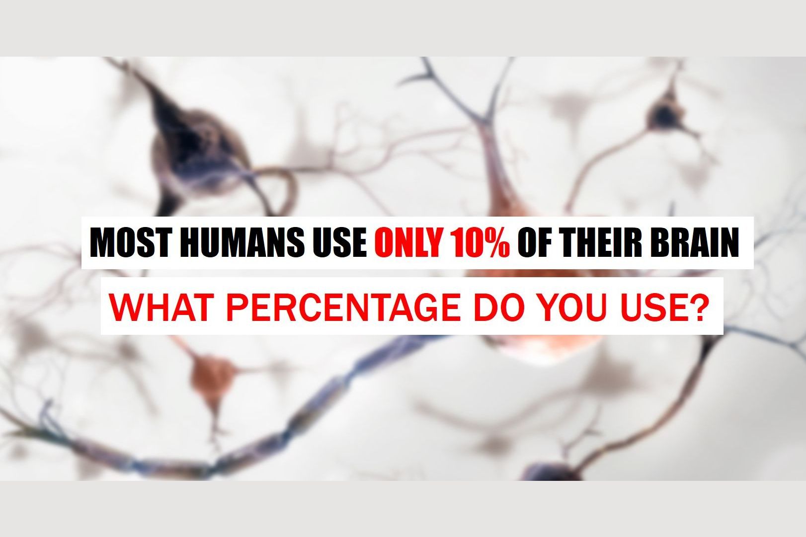 %ofBrain