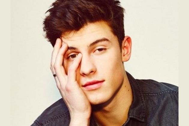 Are You A True Shawn Mendes Fan