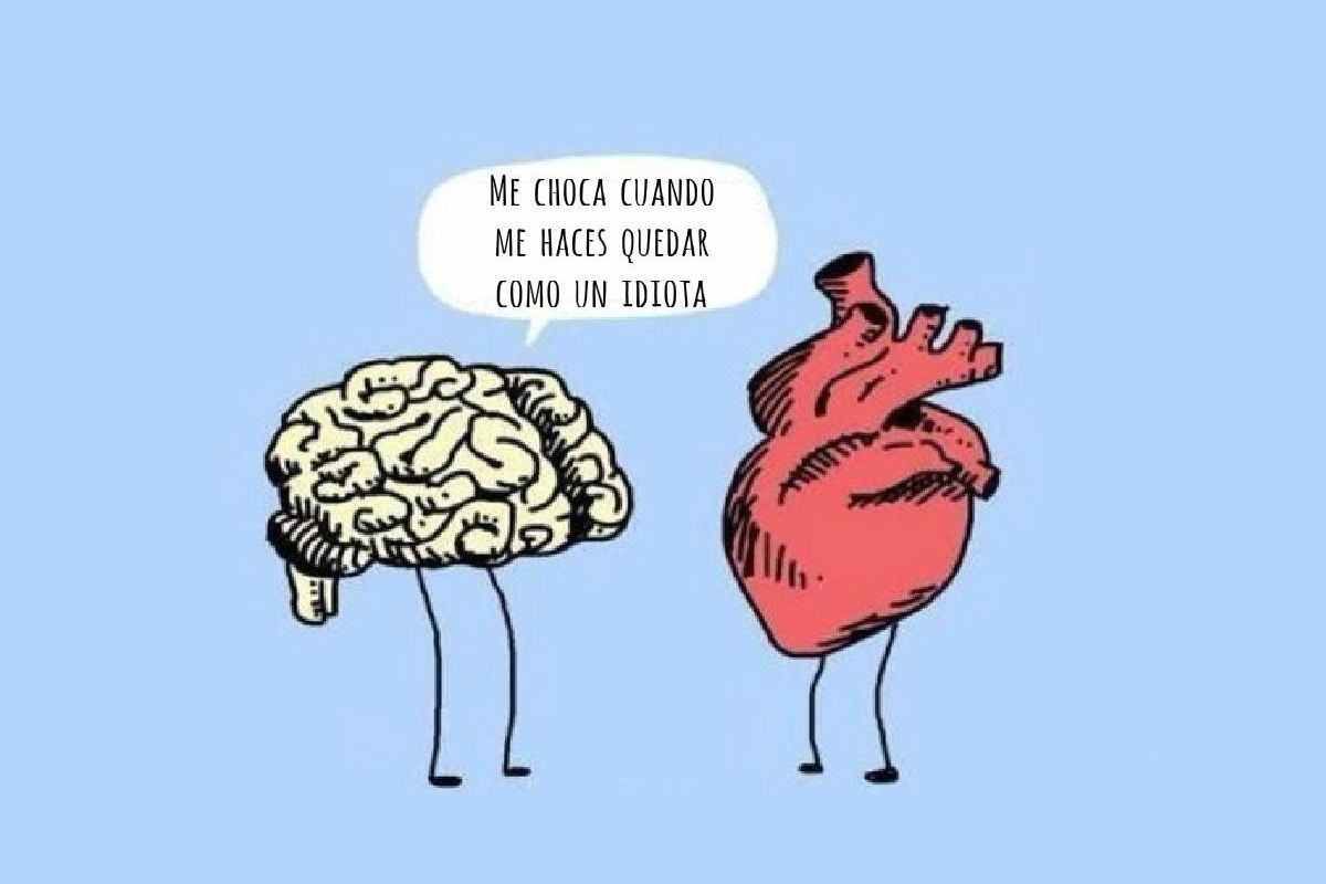Temnee моя любовь без мозгов. Мозг и любовь. Мозги любовь. Мозг против сердца. Мозг ругается.