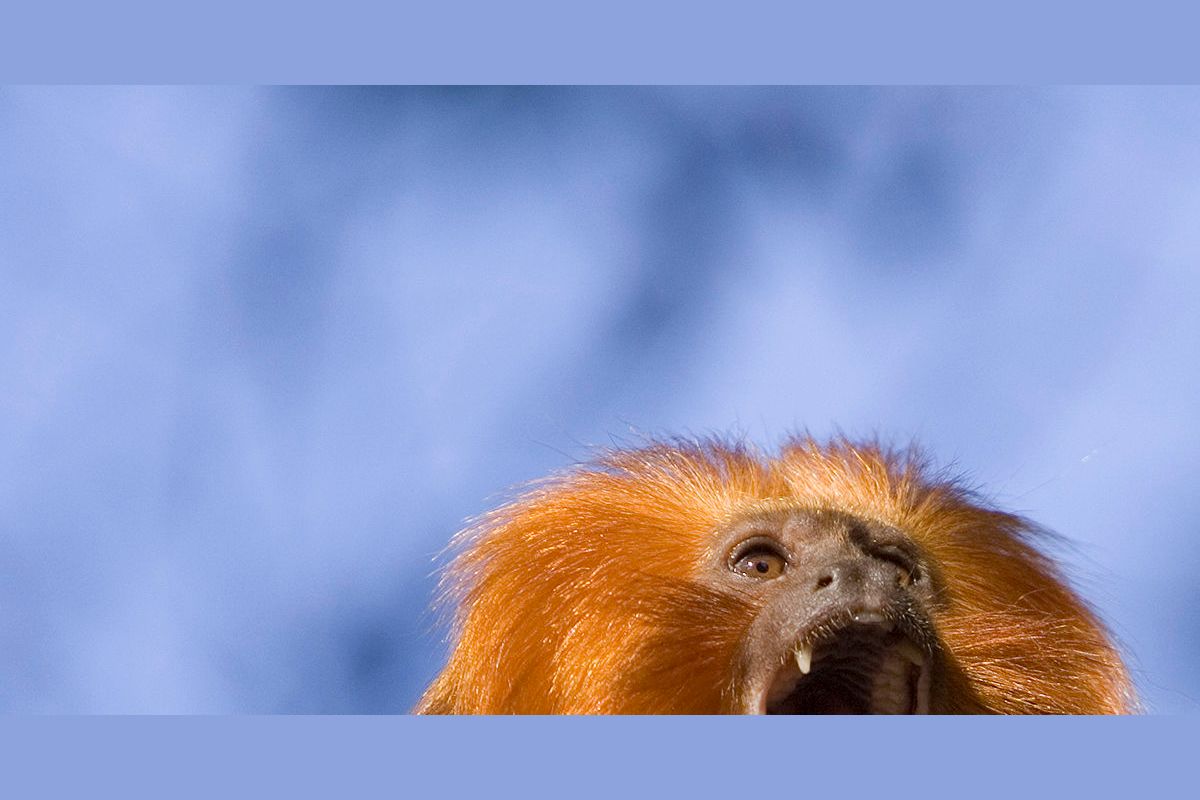 Find your Daemon Quiz!