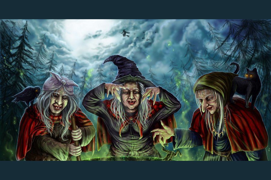 Witch Witch Where Do You Fly What Kind of Witch Are You?