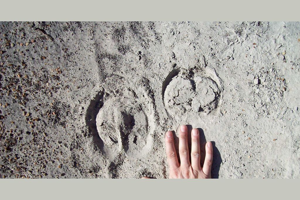 OutdoorHub Quiz: Can You Identify These 10 Wildlife Tracks?