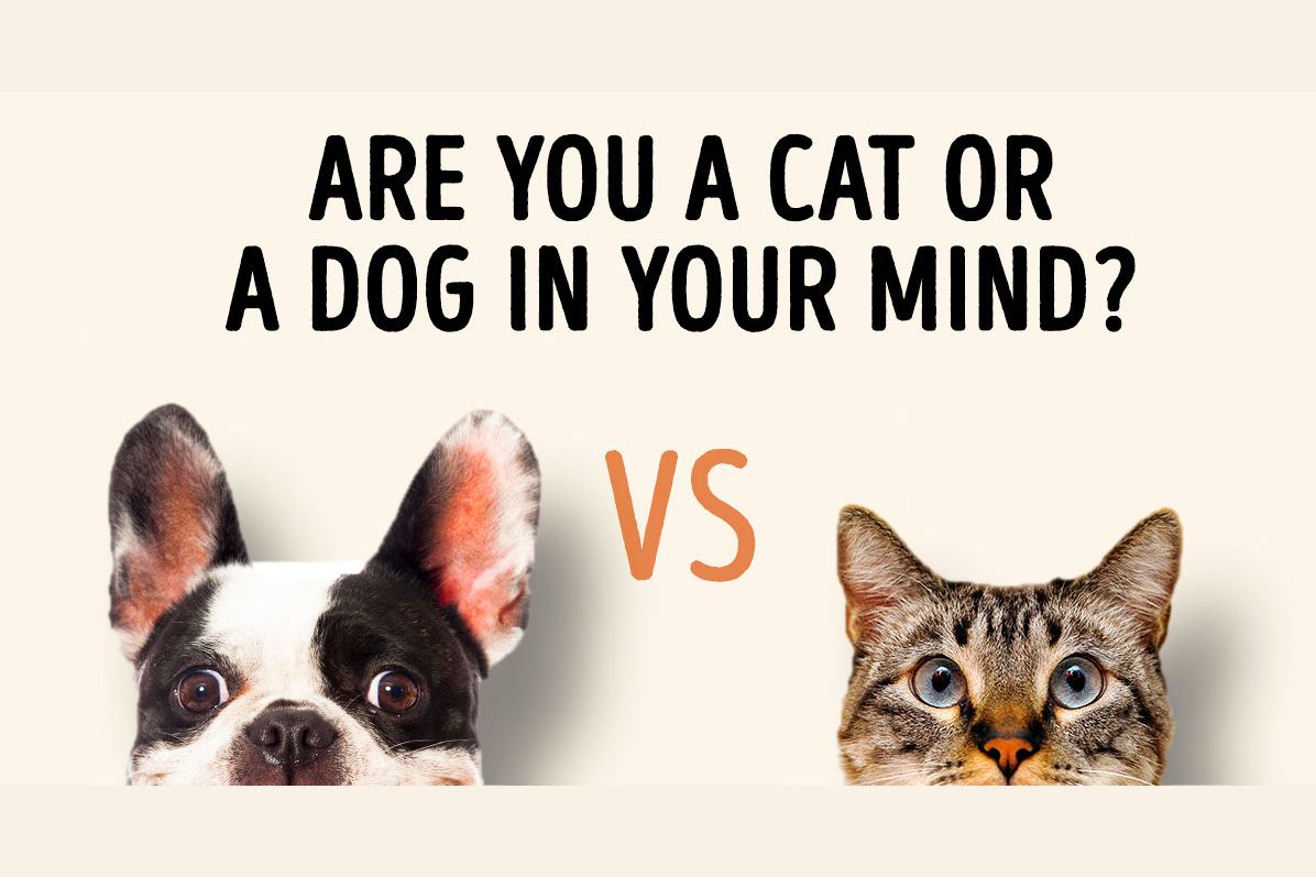 Test: Are You A Cat Or A Dog In Your Mind?