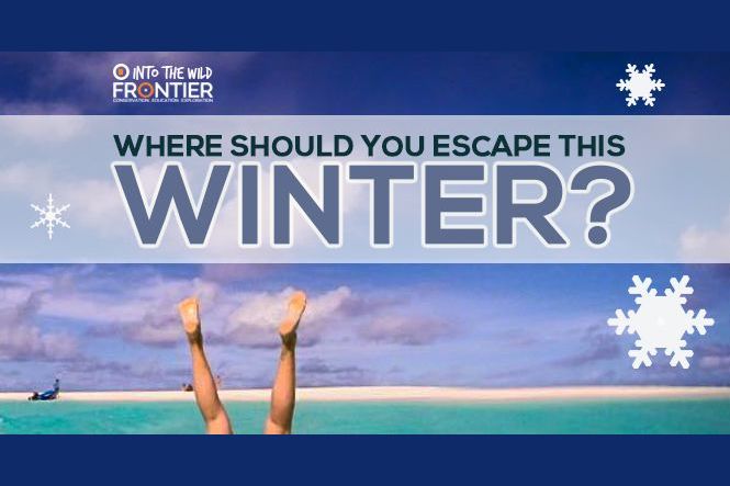 Where Should You Escape This Winter?