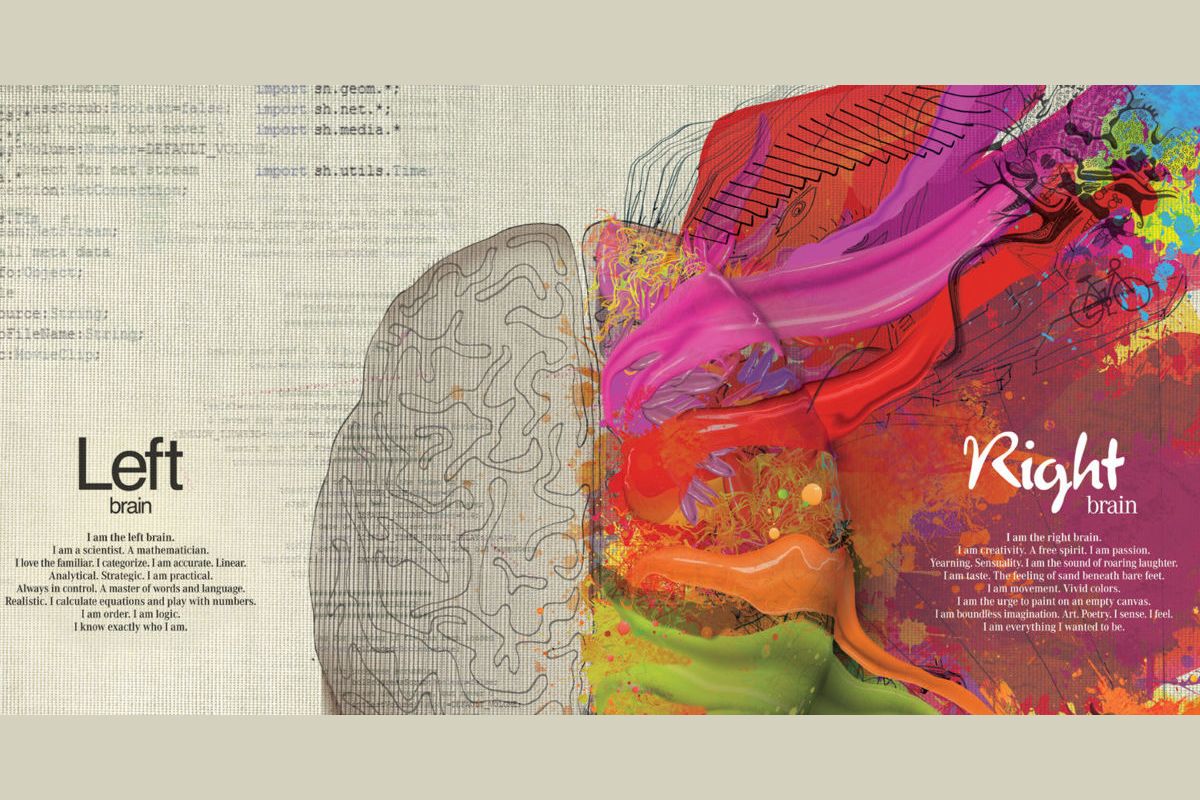 Right brained left brained. Right brained left brained