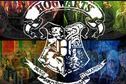 Which Hogwarts hybrid house do you belong in?