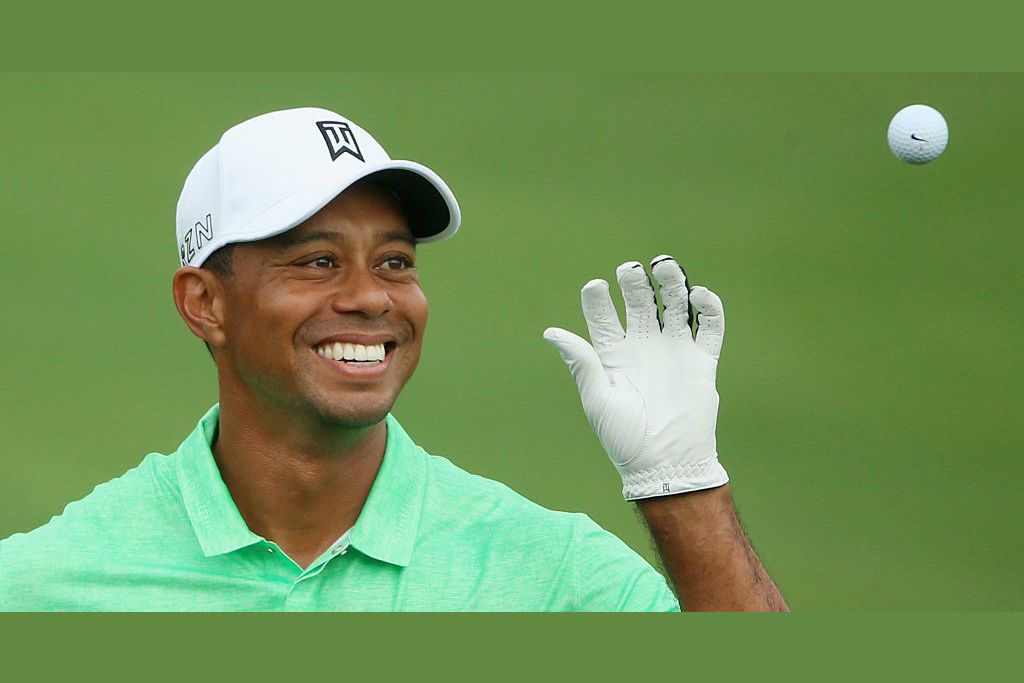 What tiger woods fan are you 