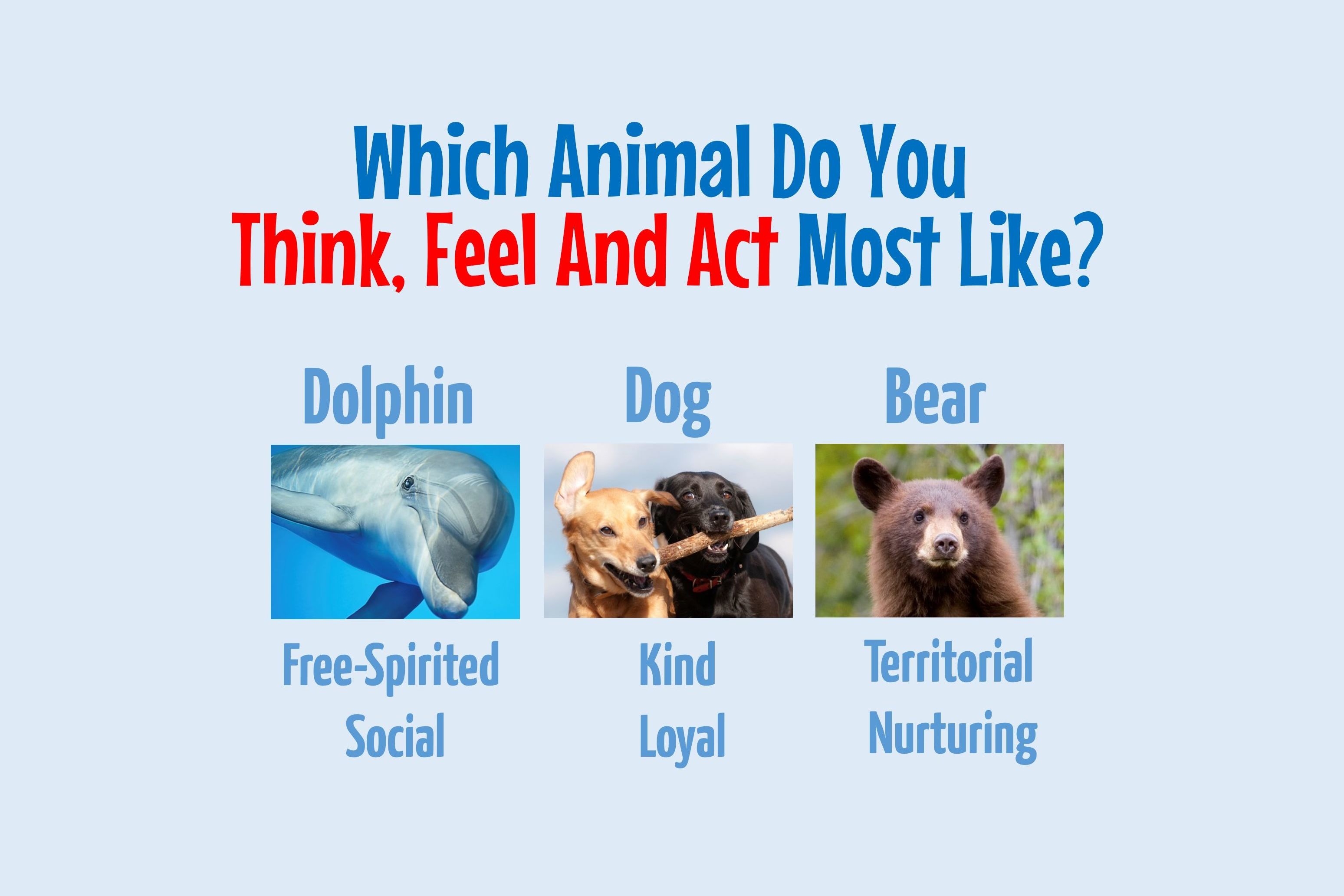 Which Animal Do You Think Feel And Act Most Like