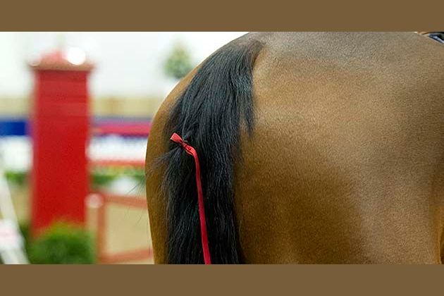 do-you-know-your-red-from-your-white-ribbon-in-a-horse-s-tail-take-our