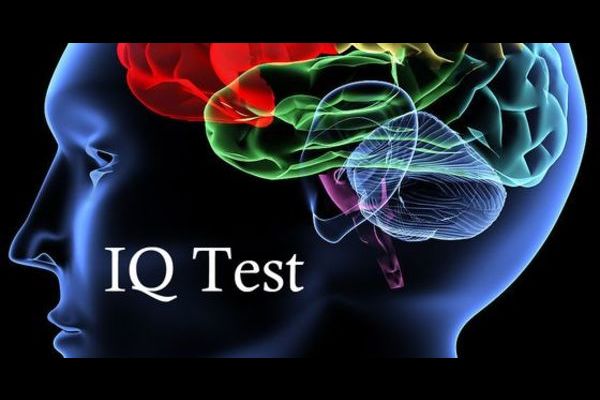 test-your-iq-free-now