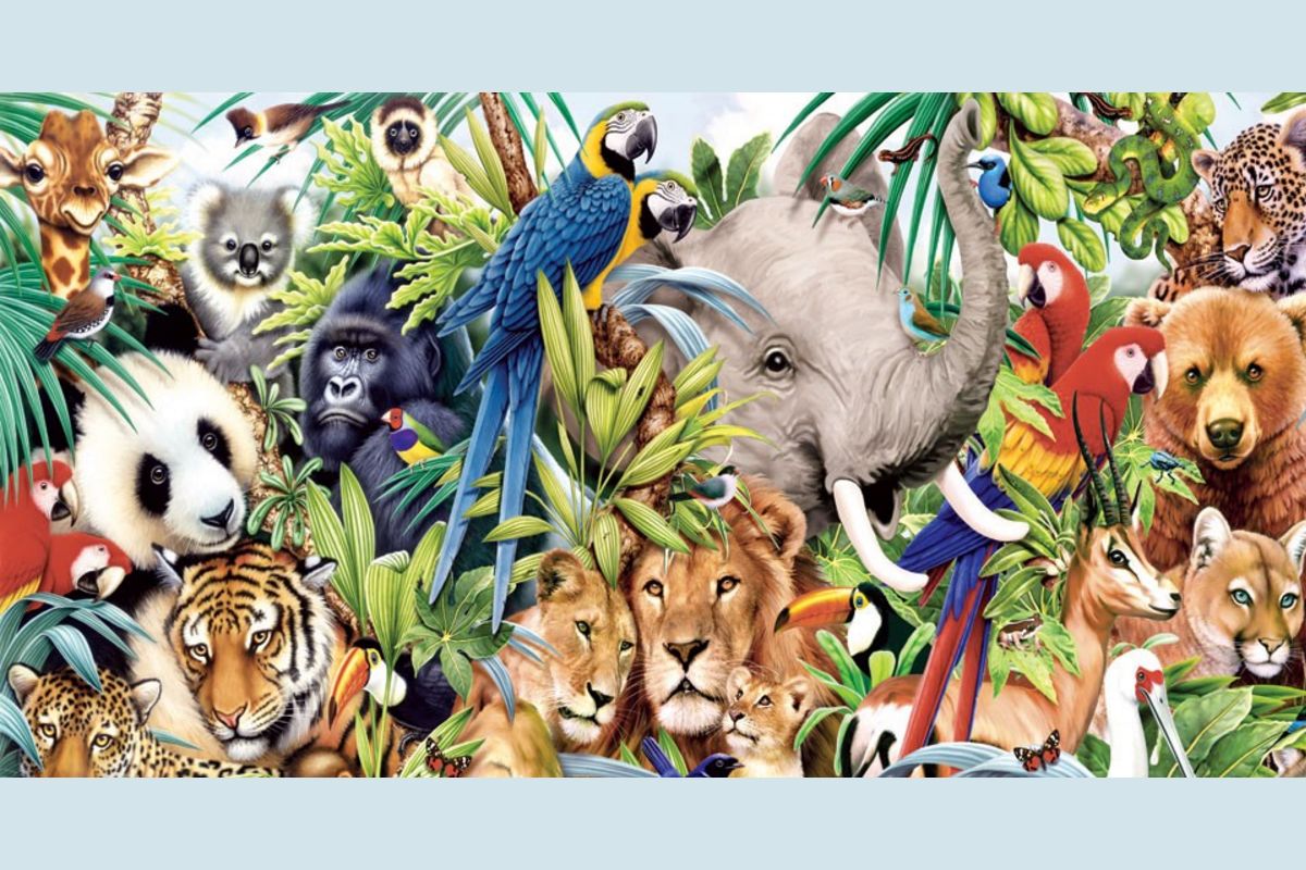 What Pet is Right for You?