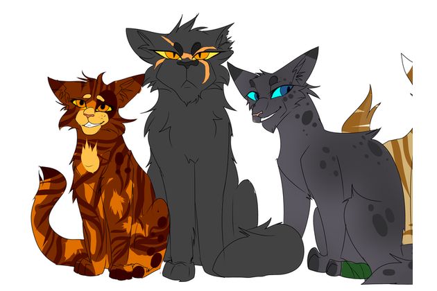 What S Your Warrior Cat Name