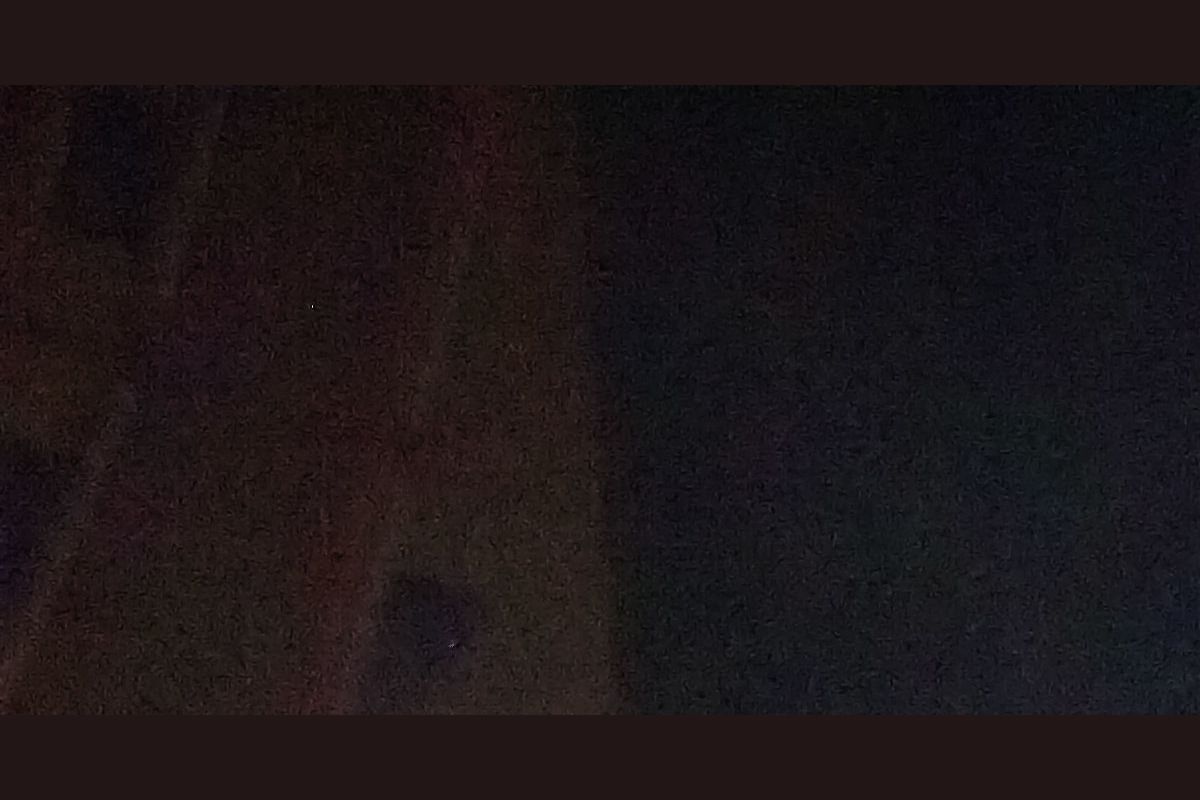 John Mayer Trivia Quiz