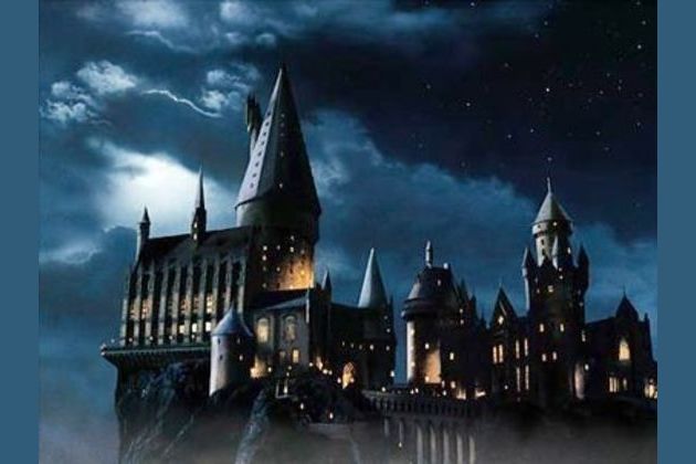 Which Hogwarts house are you?