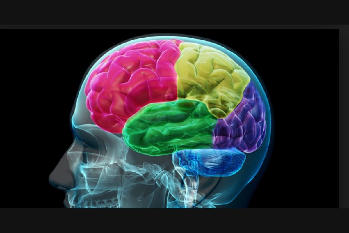 Your best personal. Brain activity. Фото i Play with your Mind. 4 Lobes. Personal Memory is.