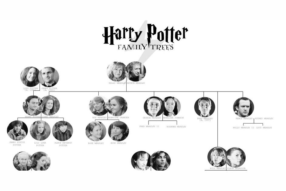 which-harry-potter-family-are-you-in