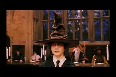 Vilket elevhem i Harry Potter tillhör du?