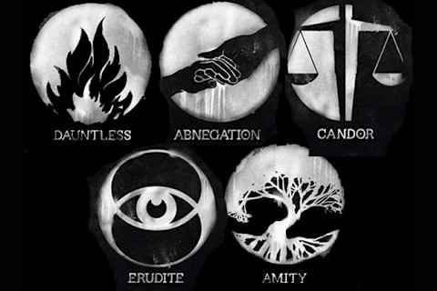 What Faction Are You In? What Faction Are You In?