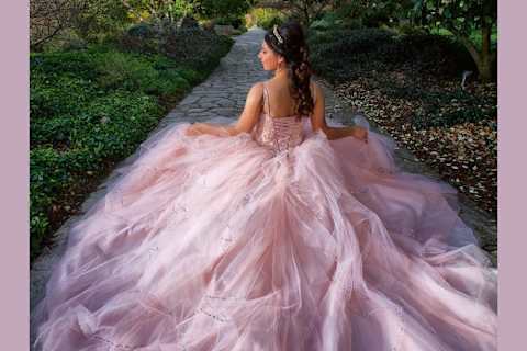 my quince dress