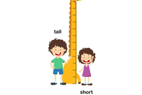 Taller and Shorter (Taller and My )