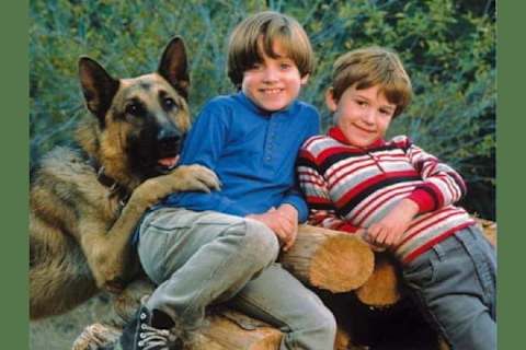 Underrated Kids Films but Worth the Watch