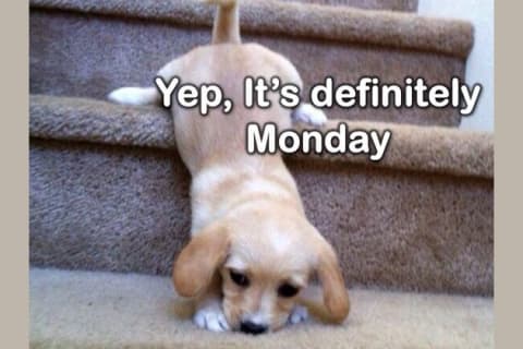 Are You Ready For Monday?