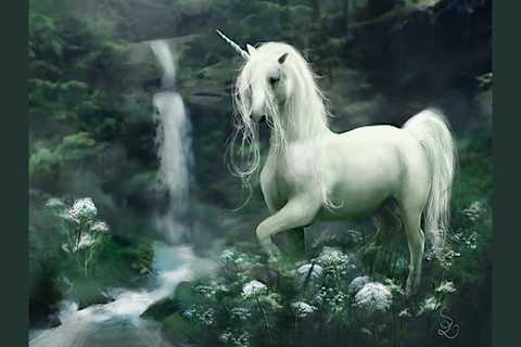 Tidos de unicornio sales