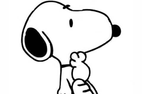 Famous black and white dogs sale