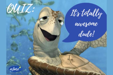 QUIZ: Famous turtles how many can you get right?