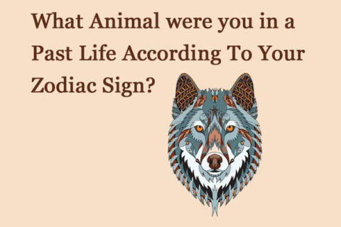 What Animal Were You In Your Past Life According To Your Zodiac Sign?