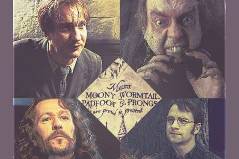 Which Harry Potter Marauder Are You