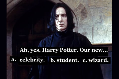 A Wizarding Collection Of Harry Potter Memes - No Respect