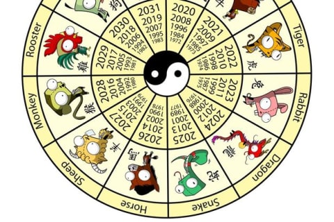 Zodiac 1996 chinese Chinese Astrology: