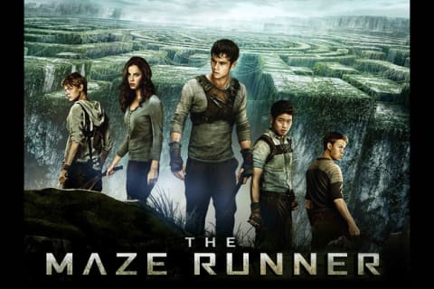 The Maze Runner – Digital Codes HQ