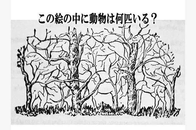 ｉｑテスト 隠れた要素を全部見つけてください あなたは全部見つけられる