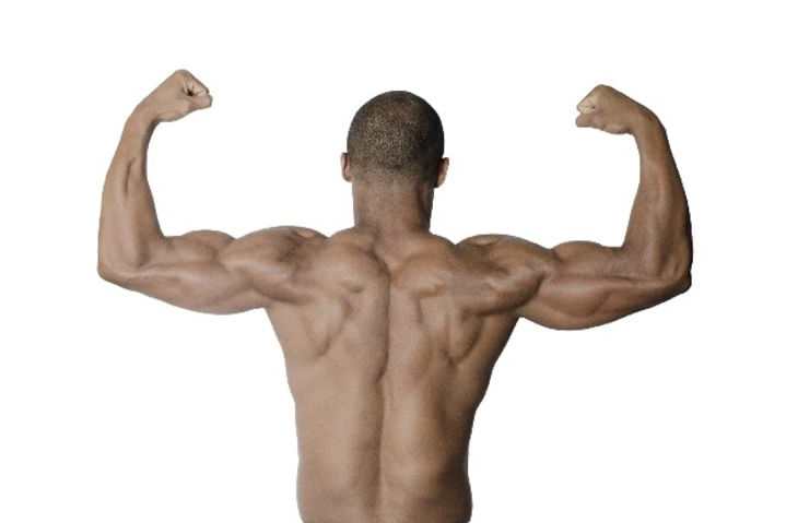 クイズ 筋肉をつけすぎると 俊敏さが低下するって本当 クイズ 筋肉をつけすぎると 俊敏さが低下するって本当