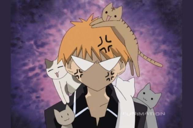 what anime pet are you