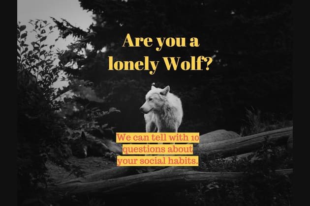 Lonely wolf