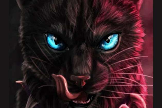 Warrior Cats What Does Scourge Think Of You Warrior Cats What Does Scourge Think Of You