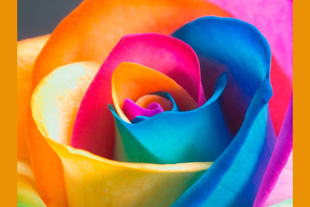 What Color Matches Your Personality What color braces should you get? what color matches your personality