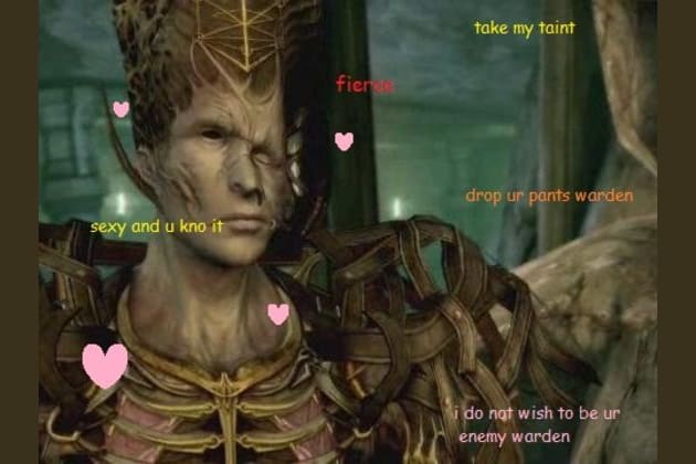 Which Dragon Age: Awakening Character Would Date You?