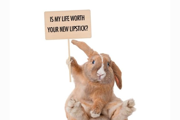 Which makeup brand should you use, that don't test on animals