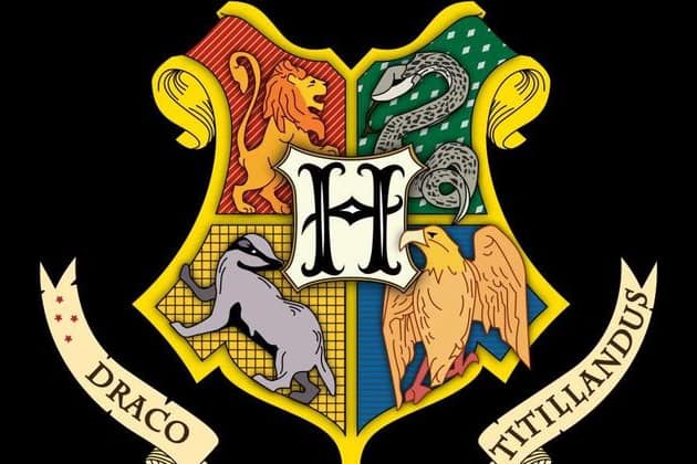 What Is Your Hogwarts House Based On Your Kpop Preferences 2017
