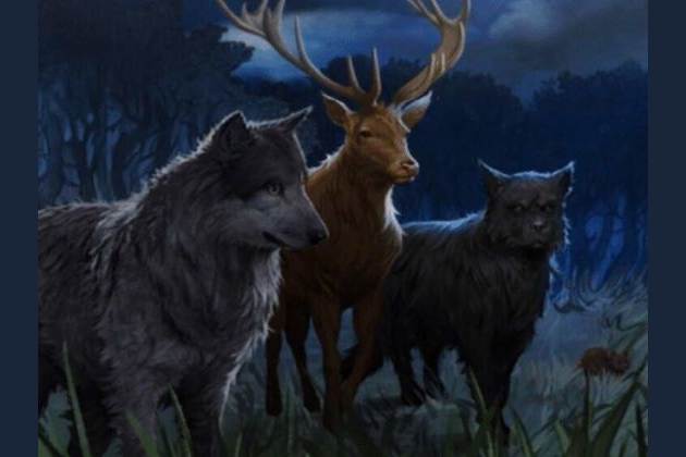 These 6 Questions Reveal Your True Animagus Form