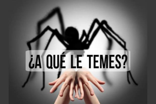 🙈¿Sabes Cuantas Fobias Existen?🙊 ¡Te Vas A Sorprender! — Steemit