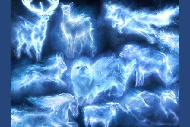 What Is Your Patronus